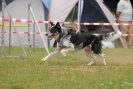 Agilityturnier am 30.06.2007 _120
