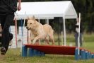 Agilityturnier am 30.06.2007 _129