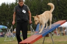 Agilityturnier am 30.06.2007 _130
