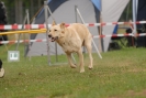 Agilityturnier am 30.06.2007 _132