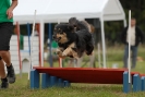 Agilityturnier am 30.06.2007 _134