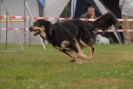 Agilityturnier am 30.06.2007 _137