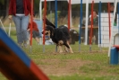 Agilityturnier am 30.06.2007 _138