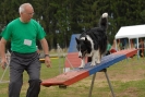 Agilityturnier am 30.06.2007 _140