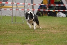 Agilityturnier am 30.06.2007 _142