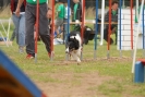 Agilityturnier am 30.06.2007 _143