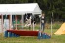 Agilityturnier am 30.06.2007 _145