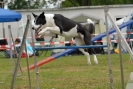 Agilityturnier am 30.06.2007 _147