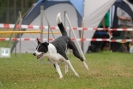 Agilityturnier am 30.06.2007 _148