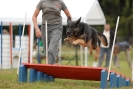Agilityturnier am 30.06.2007 _161