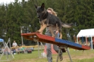 Agilityturnier am 30.06.2007 _162