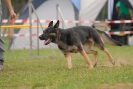 Agilityturnier am 30.06.2007 _164