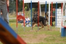 Agilityturnier am 30.06.2007 _165