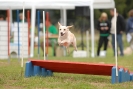 Agilityturnier am 30.06.2007 _167
