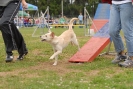 Agilityturnier am 30.06.2007 _168