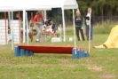 Agilityturnier am 30.06.2007 _186