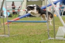 Agilityturnier am 30.06.2007 _188