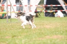 Agilityturnier am 30.06.2007 _189