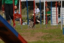 Agilityturnier am 30.06.2007 _190