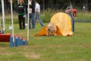 Agilityturnier am 30.06.2007 _191