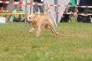 Agilityturnier am 30.06.2007 _195