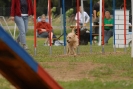 Agilityturnier am 30.06.2007 _196