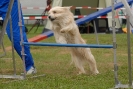 Agilityturnier am 30.06.2007 _201