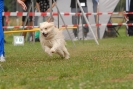 Agilityturnier am 30.06.2007 _202