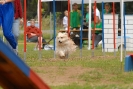 Agilityturnier am 30.06.2007 _203