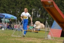 Agilityturnier am 30.06.2007 _204