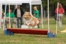 Agilityturnier am 30.06.2007 _213