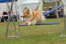 Agilityturnier am 30.06.2007 _215