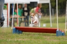 Agilityturnier am 30.06.2007 _223