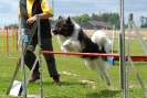 Agilityturnier am 30.06.2007 _276