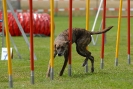 Agilityturnier am 30.06.2007 _278