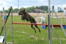 Agilityturnier am 30.06.2007 _280