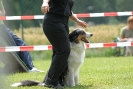 Agilityturnier am 30.06.2007 _281