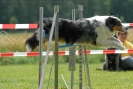 Agilityturnier am 30.06.2007 _282