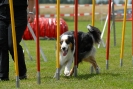 Agilityturnier am 30.06.2007 _284