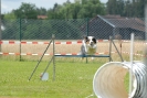 Agilityturnier am 30.06.2007 _285