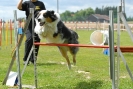 Agilityturnier am 30.06.2007 _286