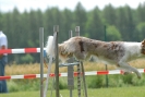 Agilityturnier am 30.06.2007 _287