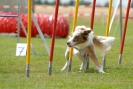 Agilityturnier am 30.06.2007 _288
