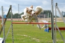 Agilityturnier am 30.06.2007 _289
