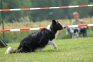 Agilityturnier am 30.06.2007 _290