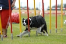 Agilityturnier am 30.06.2007 _292