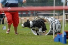 Agilityturnier am 30.06.2007 _293