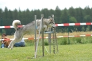 Agilityturnier am 30.06.2007 _295