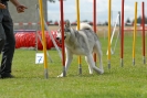 Agilityturnier am 30.06.2007 _297