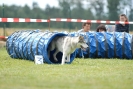 Agilityturnier am 30.06.2007 _298
